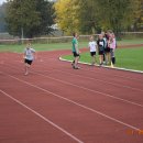 biegip 15